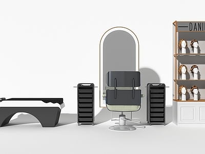 现代理发器材3d模型