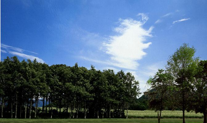 白天户外 外景贴图 窗户贴图 风景贴图