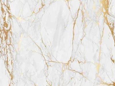 现代风格白金根大理石材背景墙大理石