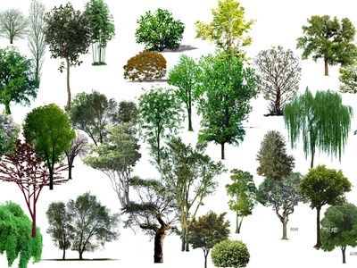 最新国外自然元素贴图_自然元素材质贴图下载_3d自然元素材质免费下载