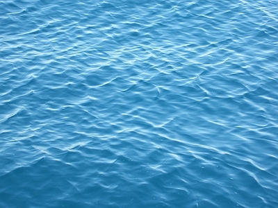 水纹地毯贴图_免费水纹地毯贴图下载【知末网贴图库】第1页