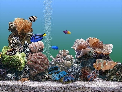 鱼缸高清贴图 鱼缸高清贴图 鱼缸高清贴图 鱼缸贴图 高清鱼缸贴图