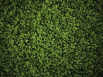 室内绿植贴图材质