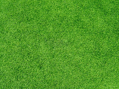 绿色地面贴图_免费绿色地面贴图下载【知末网贴图库】第1页