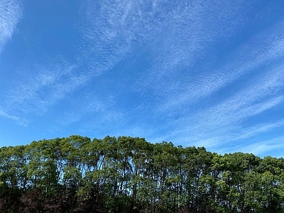 室外贴图  白天天空