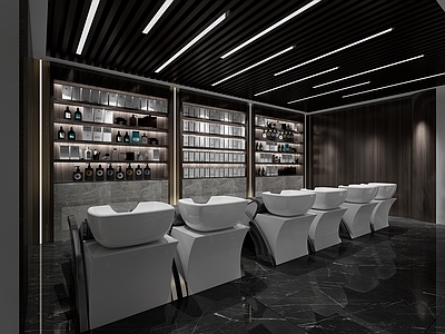 现代理发店 洗头区3d模型