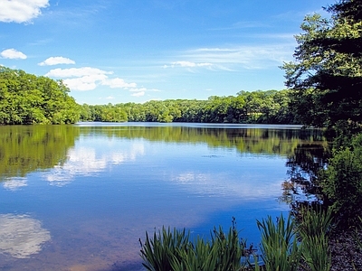 高清室外风景 湖边风景