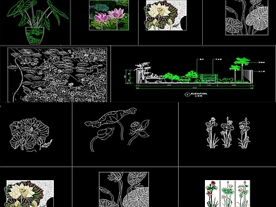 cad植物图例柏树免费