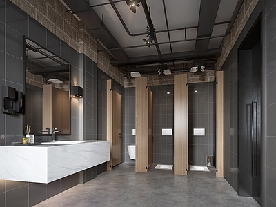 工业风公共卫生间 壁灯 洗手台 马桶 开关 轨道灯3d模型