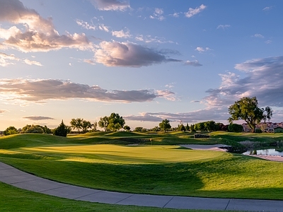 公园夕阳外景图 森林 树林 绿地 草地