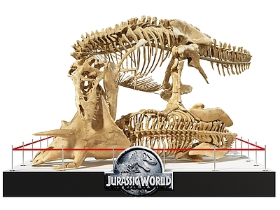 恐龙化石su模型现代恐龙 美颌龙 长头龙 双冠龙 蛇颈龙 昆士兰克柔龙