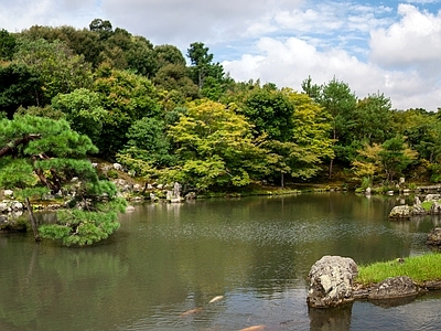 日式庭院外景图 公园 园林