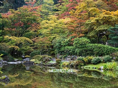 日式庭院外景图 公园 园林