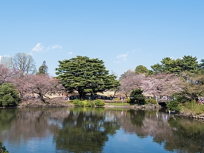 日式庭院外景图 公园 园林