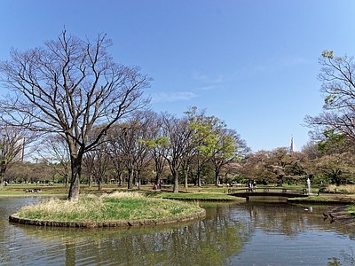 日式庭院外景图 公园 园林