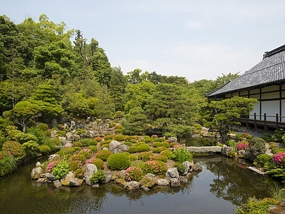 日式庭院外景图 公园 园林