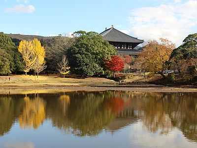 日式庭院外景图 公园 园林 枯水