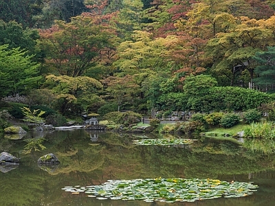 日式庭院外景图 公园 园林 枯水