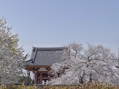 日式庭院外景图 公园 园林 枯水