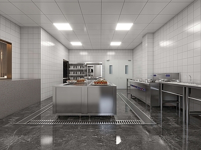 现代酒店后厨 不锈钢洗菜盆 操作台3d模型