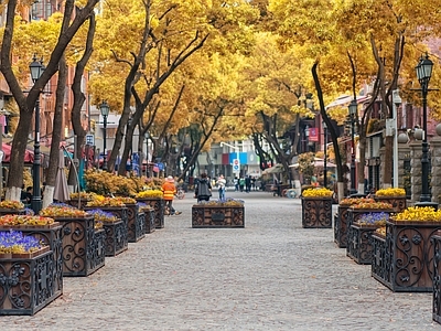 秋 街道 风景贴图 城市外景