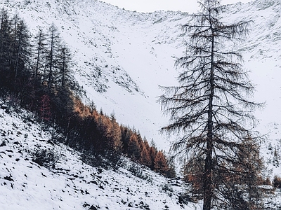 高清 外景 风景 天空 雪景