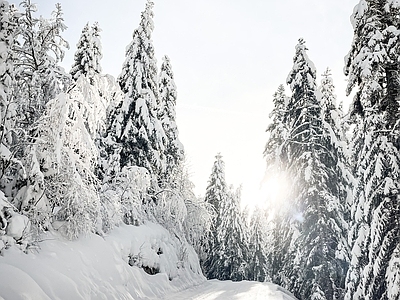 高清 外景 风景 天空 雪景