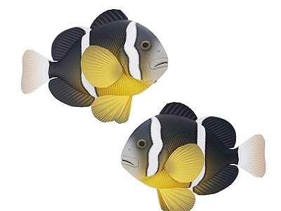 现代斑马鱼3d模型