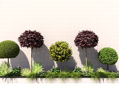 草图大师植物模型百度云