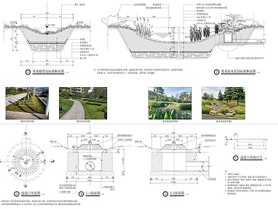 雨水花园及植草沟详图 施工图 园林景观给排水