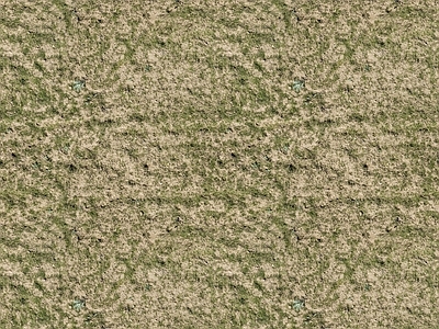 高清真实外景草地草皮小草苔藓泥土土壤地面 草皮