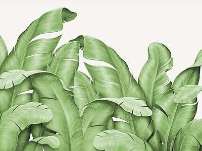 背景墙壁画 现代壁纸壁画 简约纹理壁纸墙布 植物壁纸 植物壁画