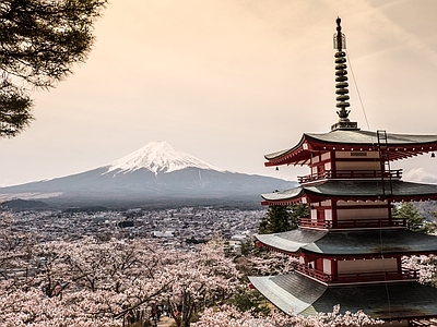 城市建筑街道外景 植物壁画