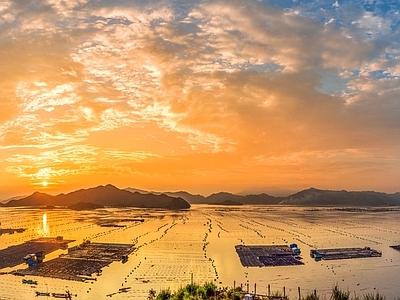 海上傍晚金色夕阳风景