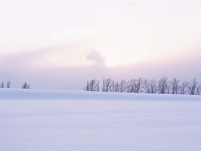 北方雪天天空雪地白色雪景冬季天空 天空