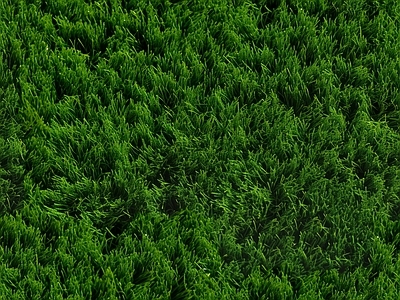 无缝草皮草坪绿植地面