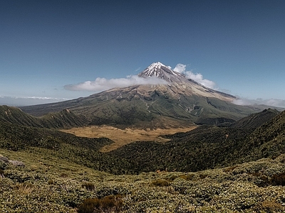 高山山谷森林