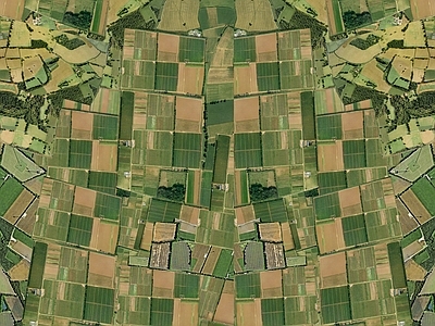 现代外景卫星图树林森林风景农田田野草地草皮地面 草皮草坪