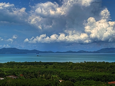 大海树林风景