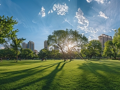 户外全景草坪天空HDR