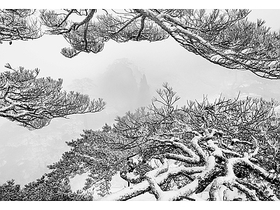 黑白云雾雪景图 风景装饰画