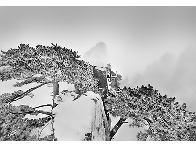 黑白云雾雪景图 风景装饰画