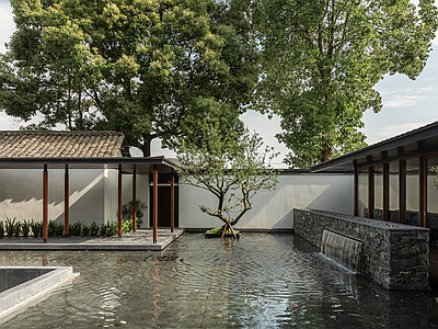 窗外景 新中式庭院流水 植物景观 天空