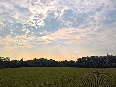 日出日落多云的天空景观风景 天空