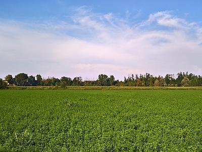 蓝色天空的乡村景观风景