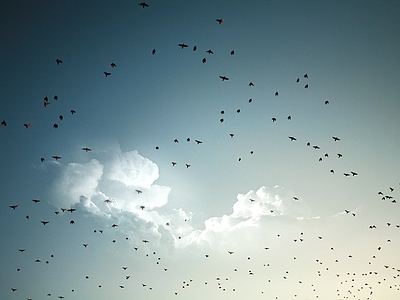 多云的天空景观风景 天空