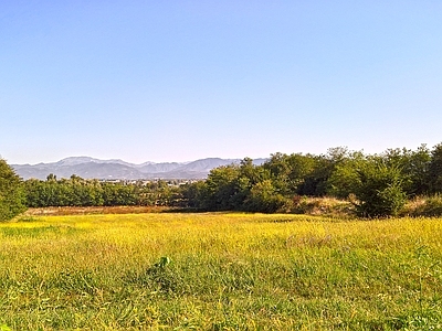 蓝色天空的乡村景观风景