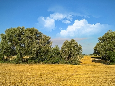 蓝色天空的乡村景观风景