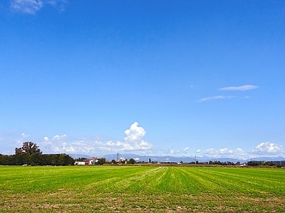 蓝色天空的乡村景观风景