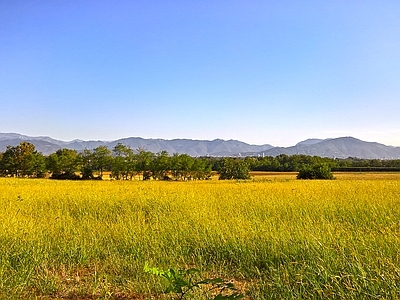 蓝色天空的乡村景观风景